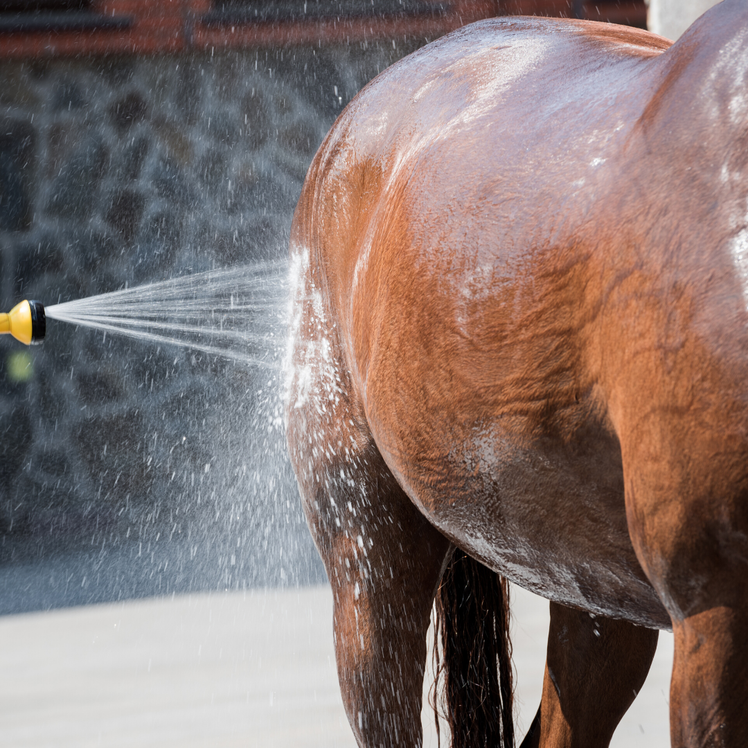 Cooling down