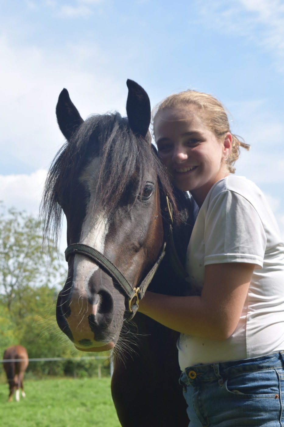 Hoe krijg ik een pony van mijn ouders?