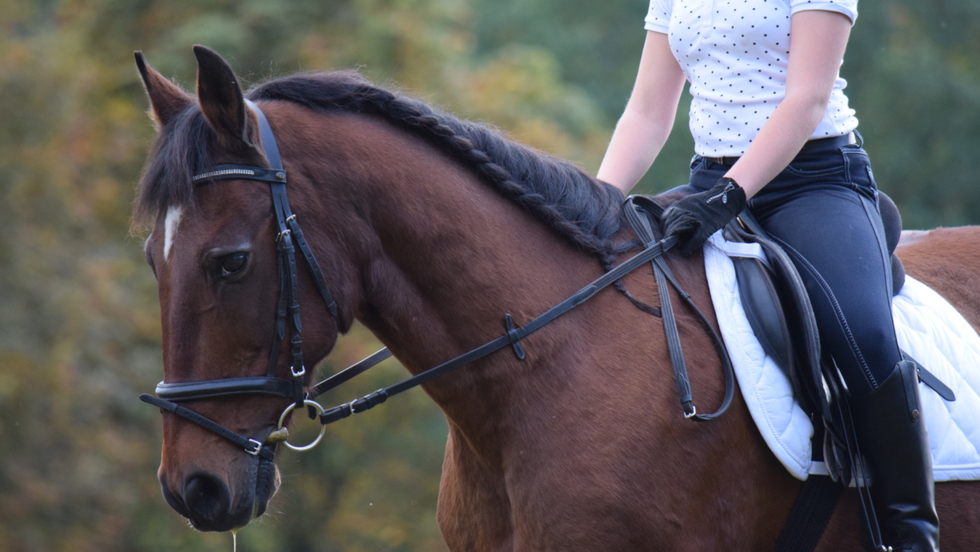 Zit ik wel goed op mijn paard?