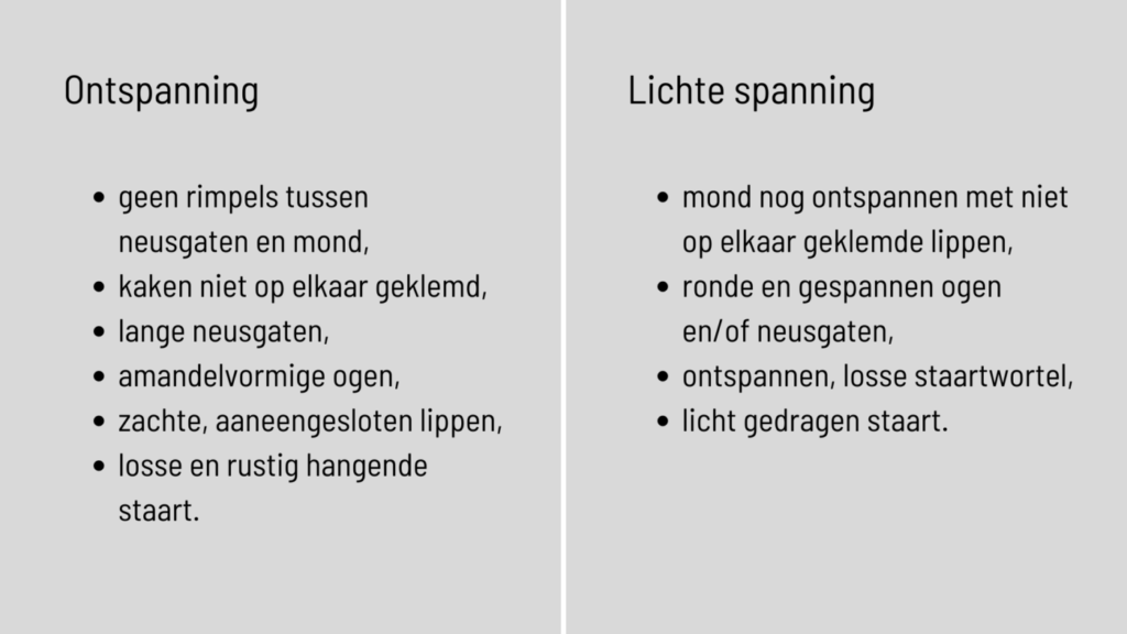 welke-communicatiesignalen-gebruikt-mijn-paard-paardentips